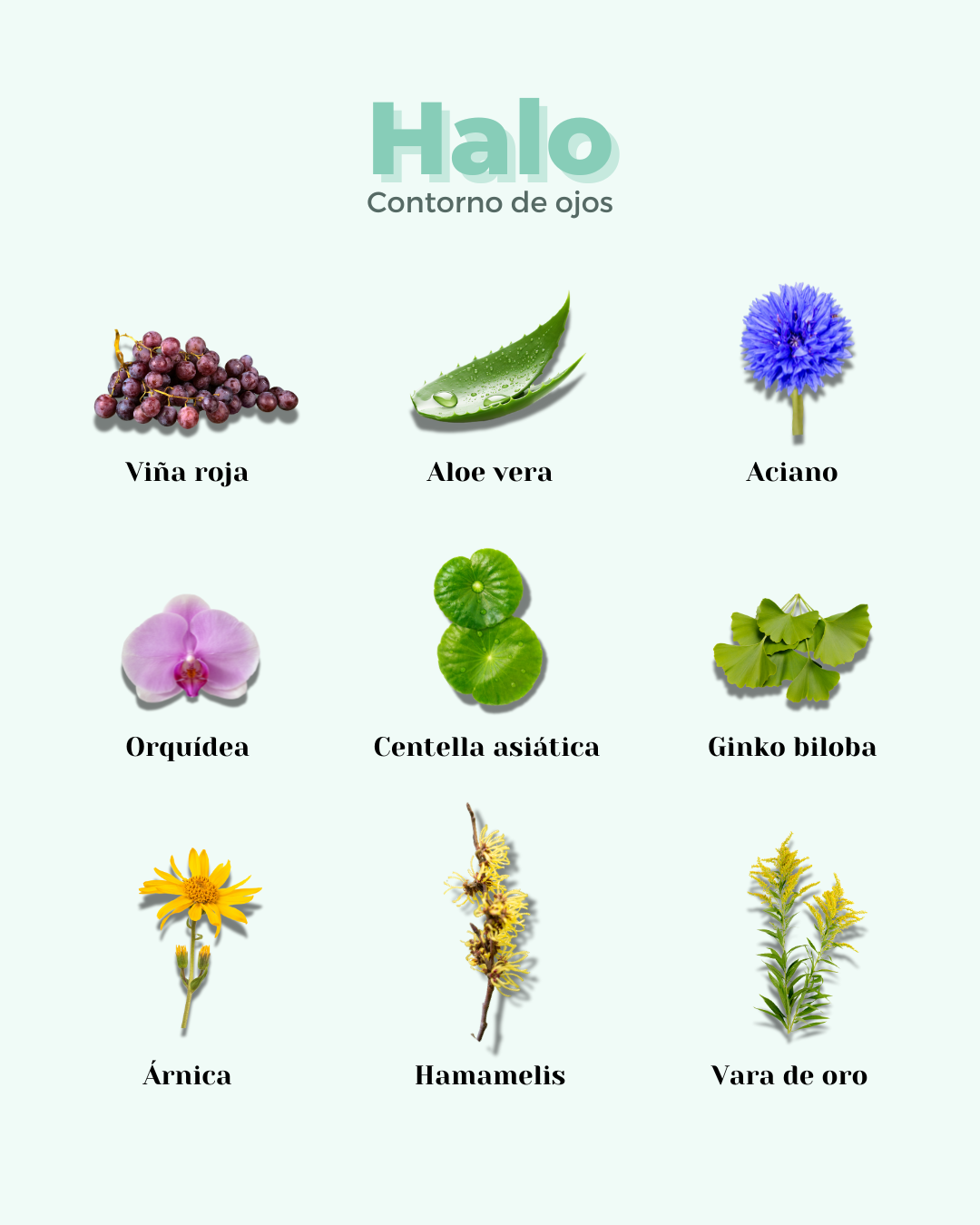 Contorno de Ojos ECO HALO