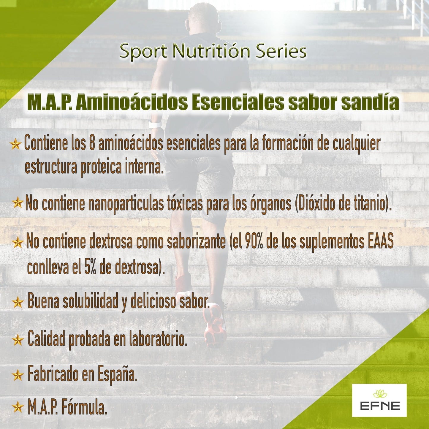 M.A.P. EFNE – Aminoácidos Esenciales de Alta Absorción