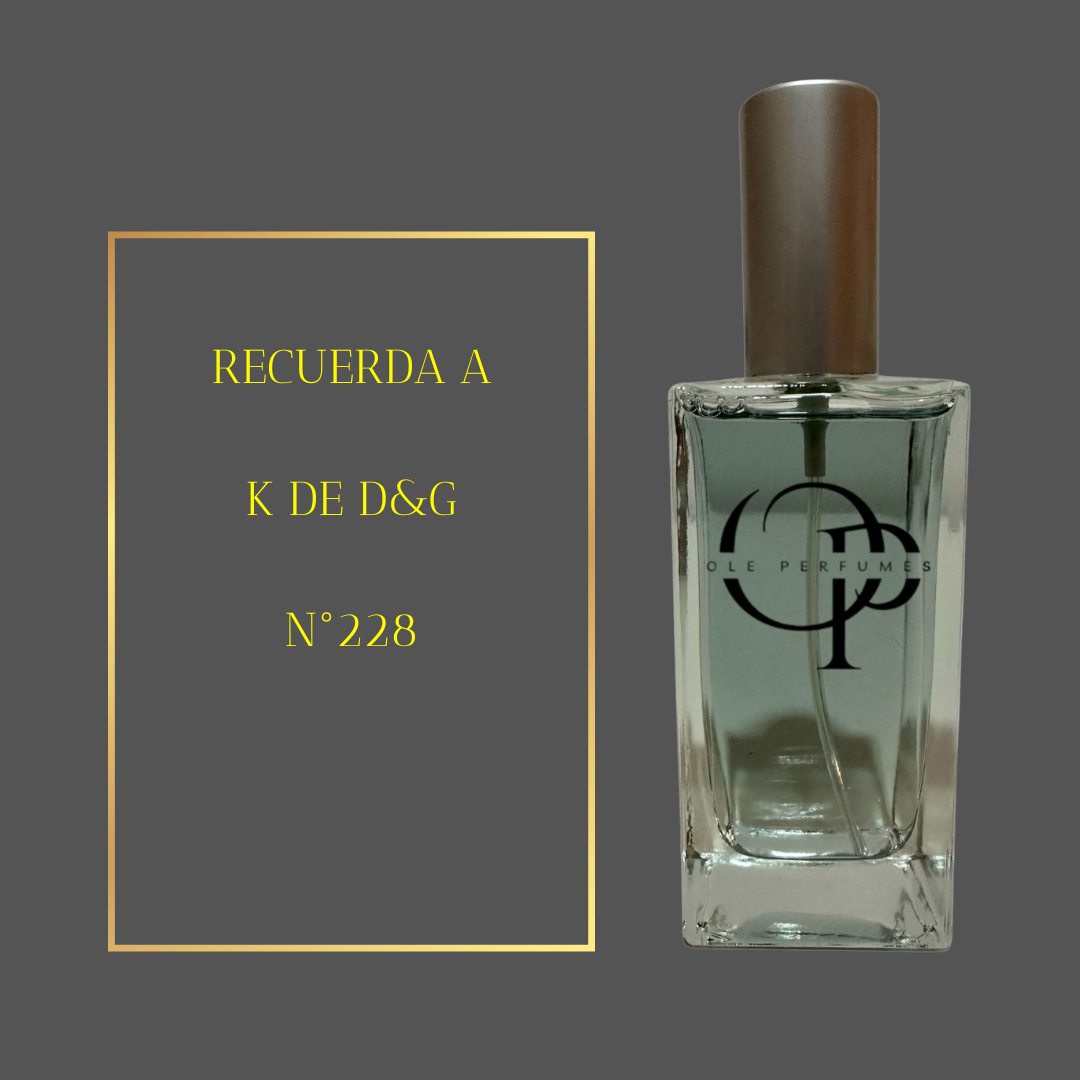 228 RECUERDA A K DE D&G