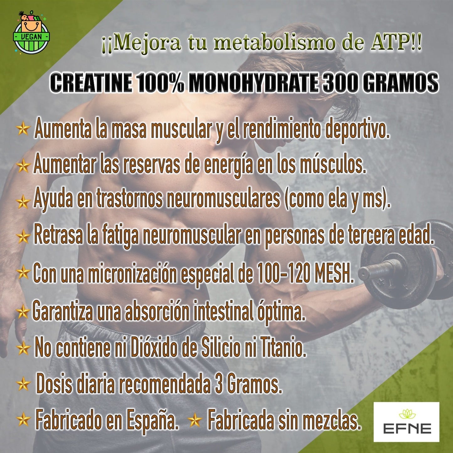 Creatina Monohidrato EFNE – 200 Mesh Micronizada de Alta Absorción