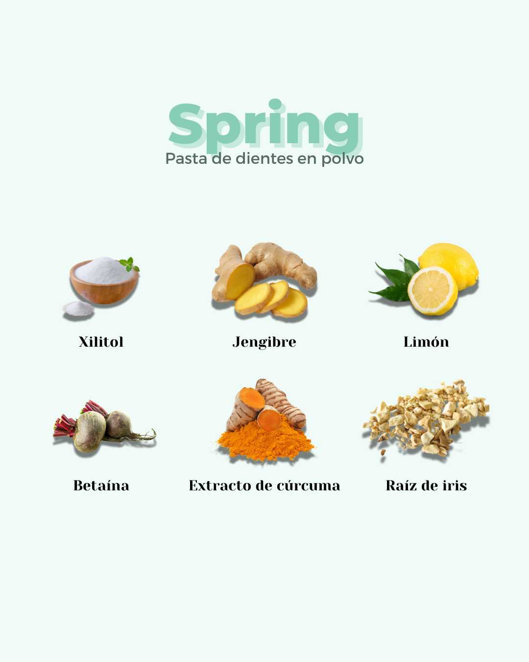 Pasta de Dientes en Polvo ECO SPRING