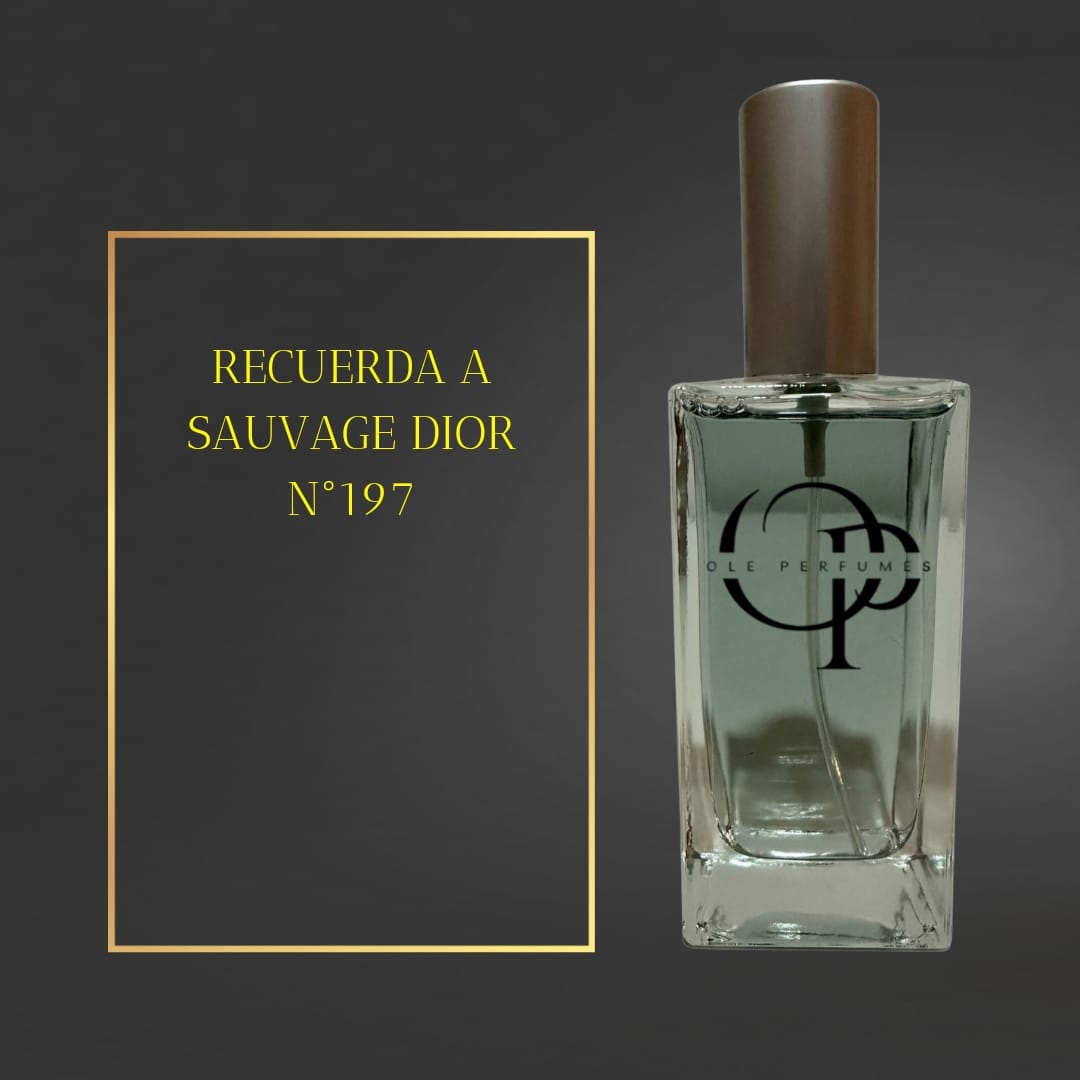 197 RECUERDA A SAUVAGE DIOR