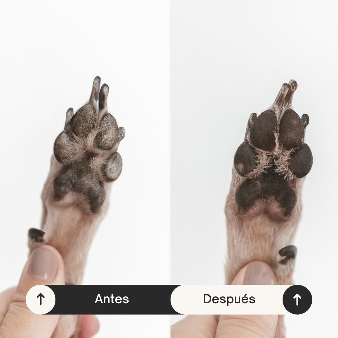 Crema dermatológica de almohadillas para perros