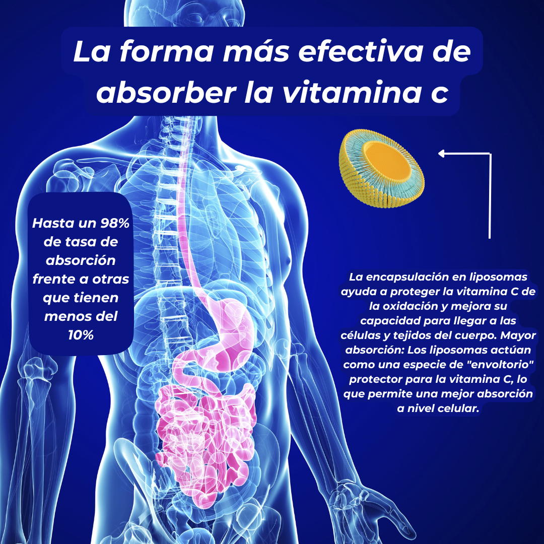 Vitamina C Liposomal EFNE | Fórmula de Oncólogos | 1050mg