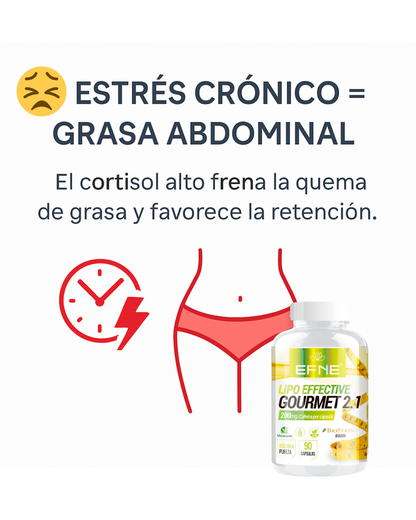 Lipo Effective EFNE 90 cápsulas – Activación y definición