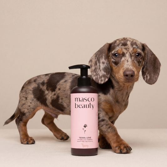 Champú para Teckel pelo corto de Jojoba y Manzanilla