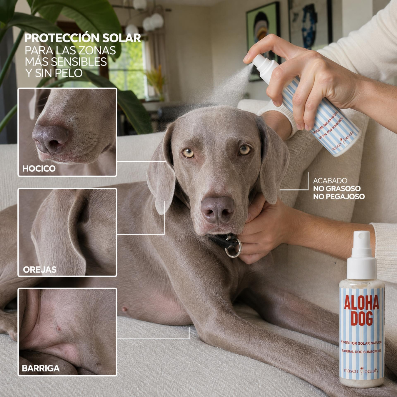Aloha Dog – Spray solar natural para perros SPF 30