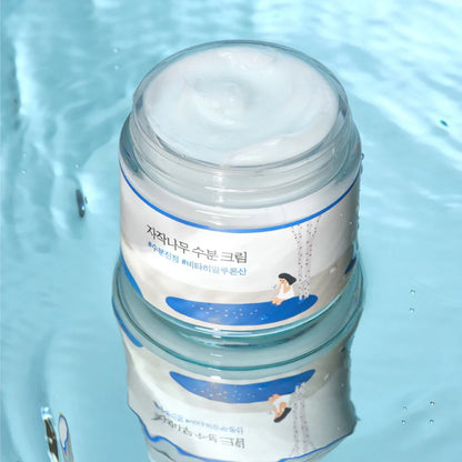 Round Lab - Birch-Juice-Moisturizing-Cream - 80 ml