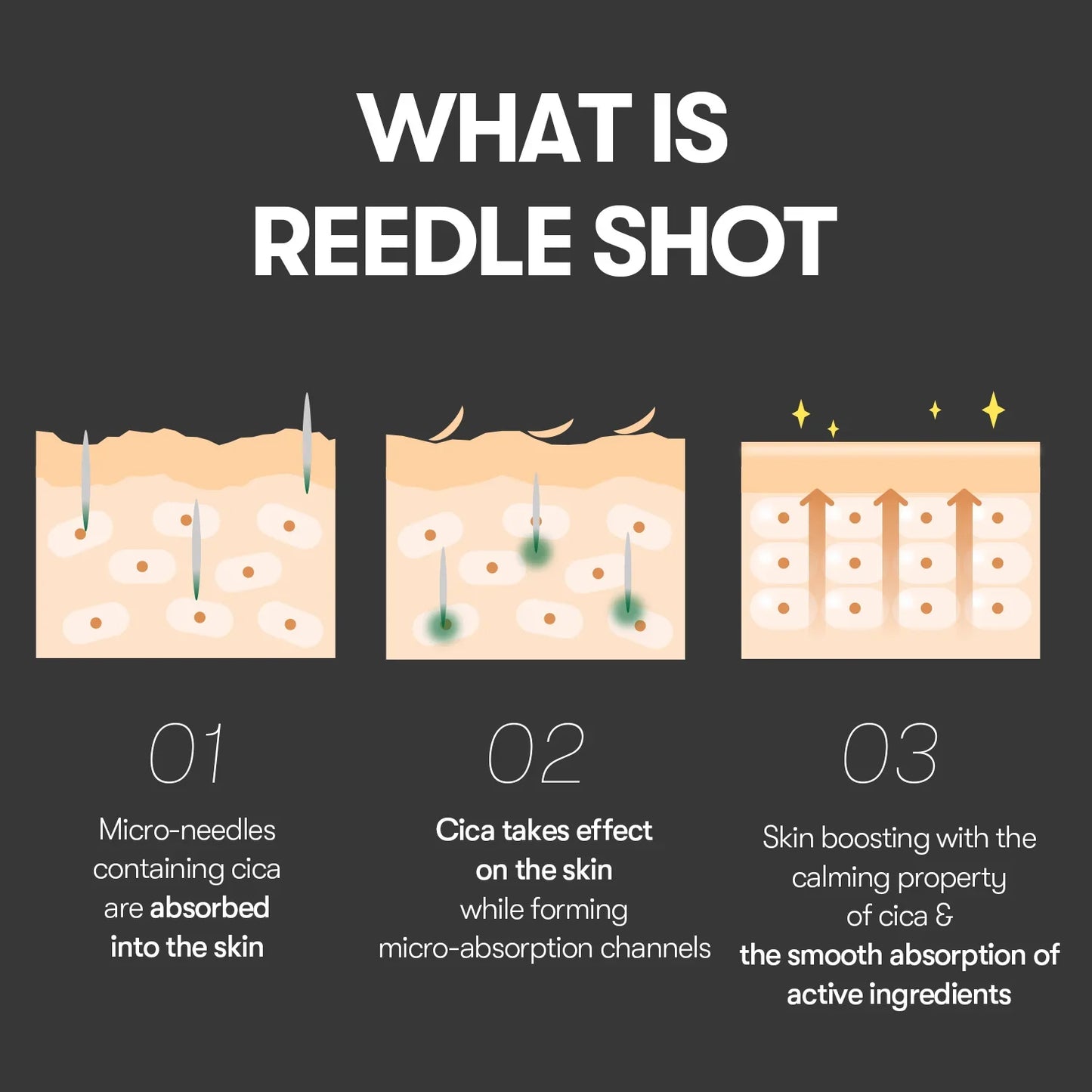 VT Reedle shot 100