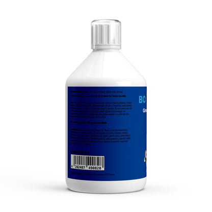 Ginseng Power Plus+ • Foco Mental • Rendimiento Diario • Energía Limpia