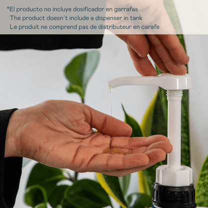 Champú Melón Sin Sal 5L - Panthenol Pro-Vitamina B5 | Valquer® Peluquería