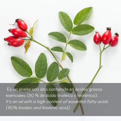 Aceite de Rosa Mosqueta 100% Puro Valquer 30ml - Regenerador Facial Antiarrugas