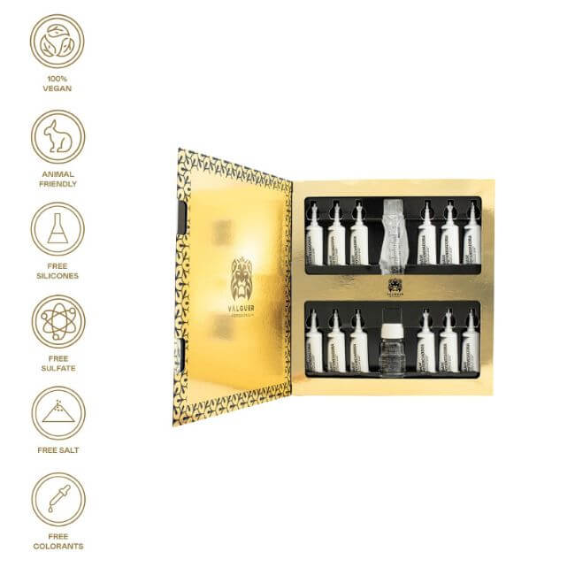 Pack Tratamiento Capilar SBS Divinity Effect + Champú Preparador Valquer - Kit Profesional Salud Capilar